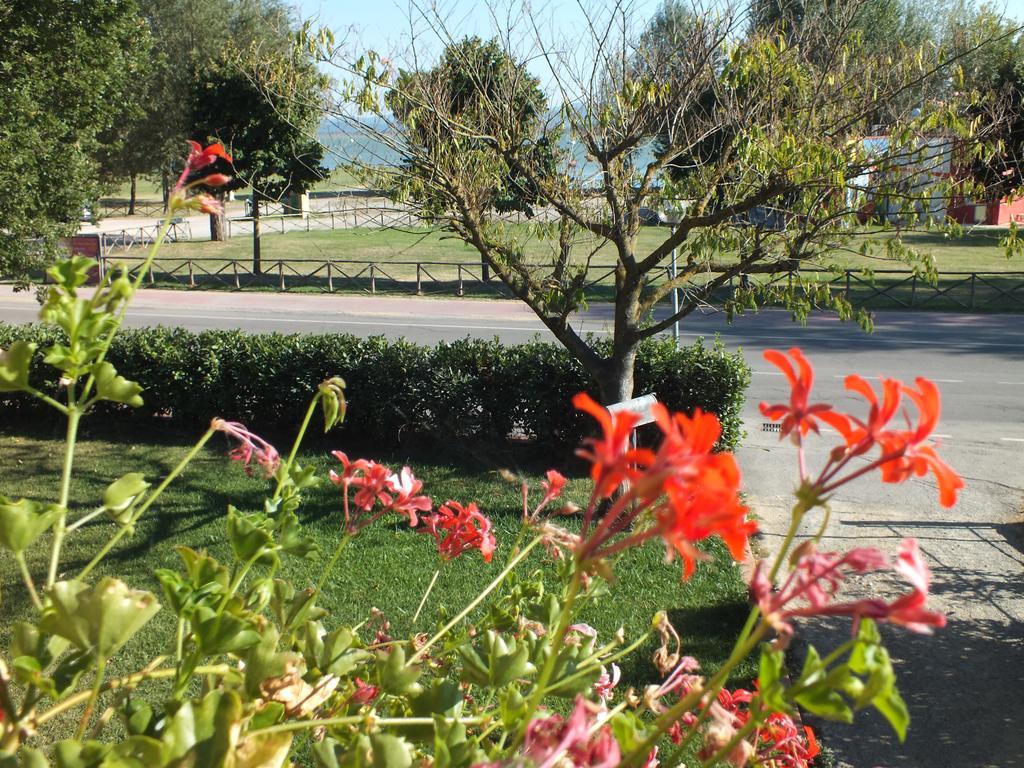 Affittacamere Le Petit Palais Castiglione del Lago Dış mekan fotoğraf